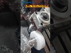 Los engranajes de plástico personalizados